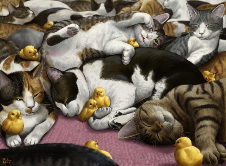 cats, Chick, Friend, Animals, Baby, Cute, Sleep HD Wallpaper Desktop Background