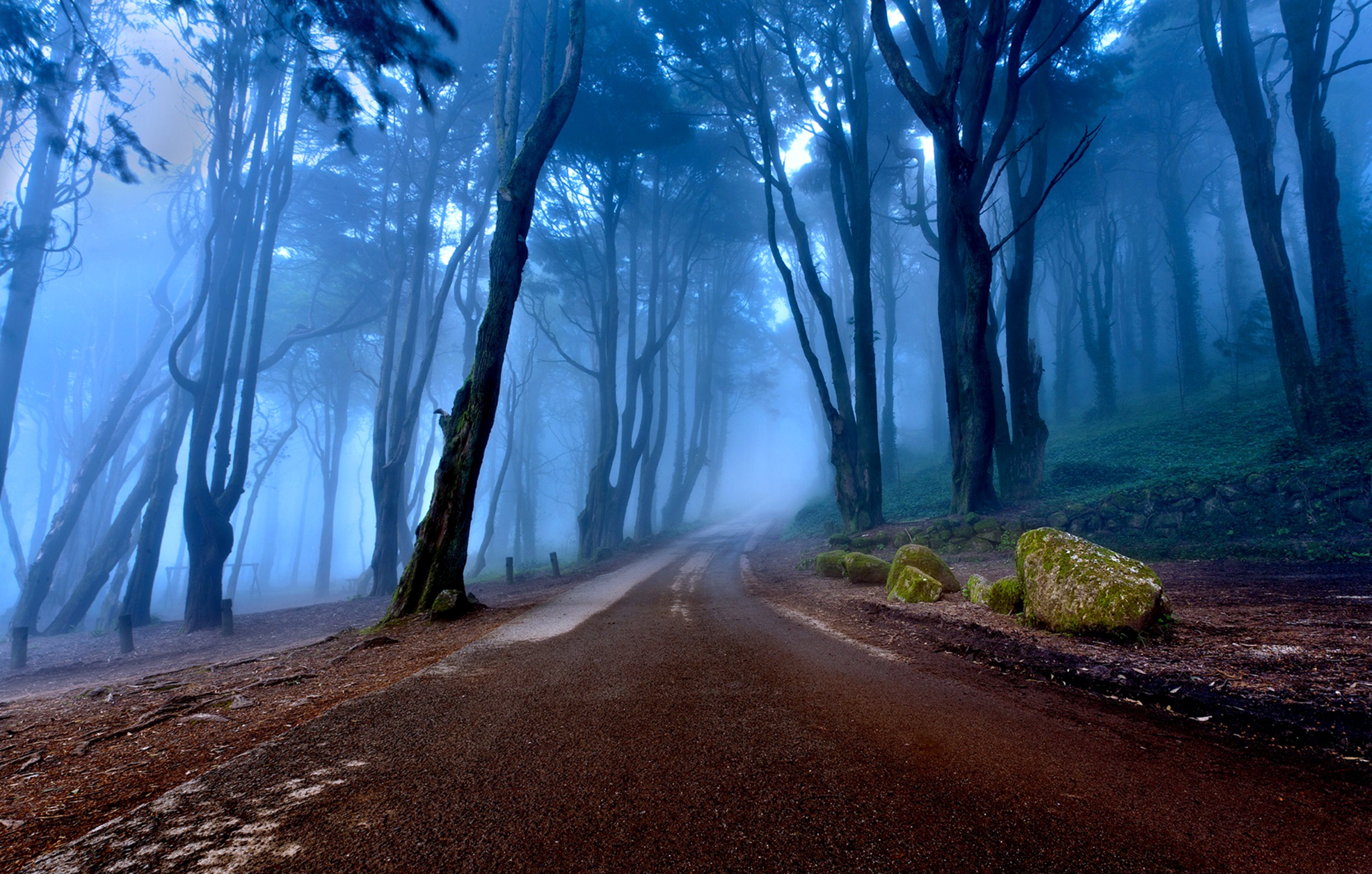 portugal, Forest, Fog, Trees, Road, Landscapes, Nature Wallpaper