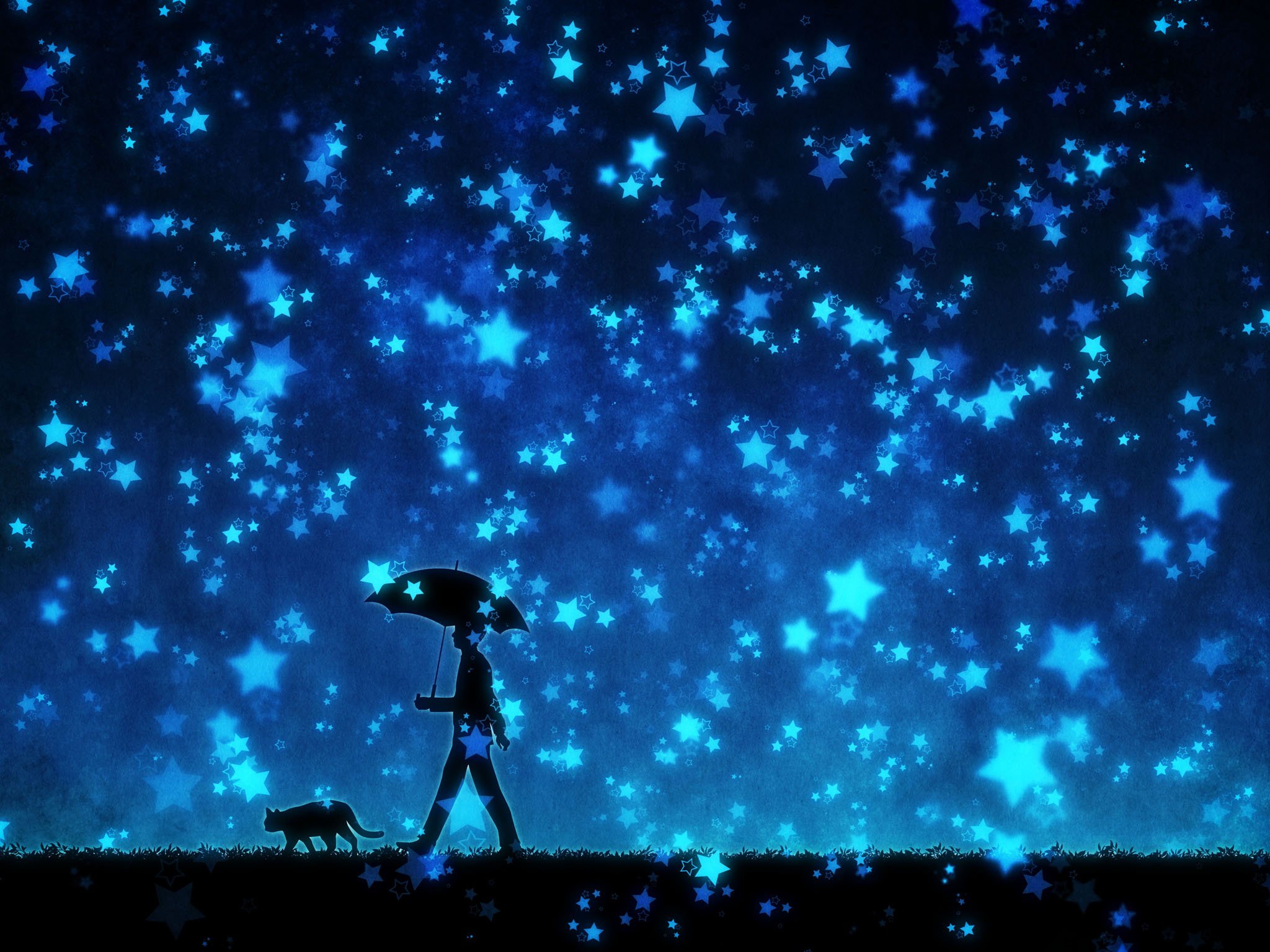 original, Stars, Umbrella, Cat, Male, Anime, Blue, Night Wallpaper