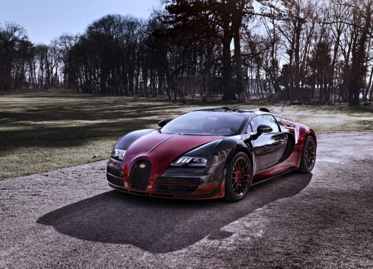 2015, Bugatti, Veyron, Forest, Trees, Gardens, Cars, Supercars, Motors, Turbo, Speed, Sunny HD Wallpaper Desktop Background