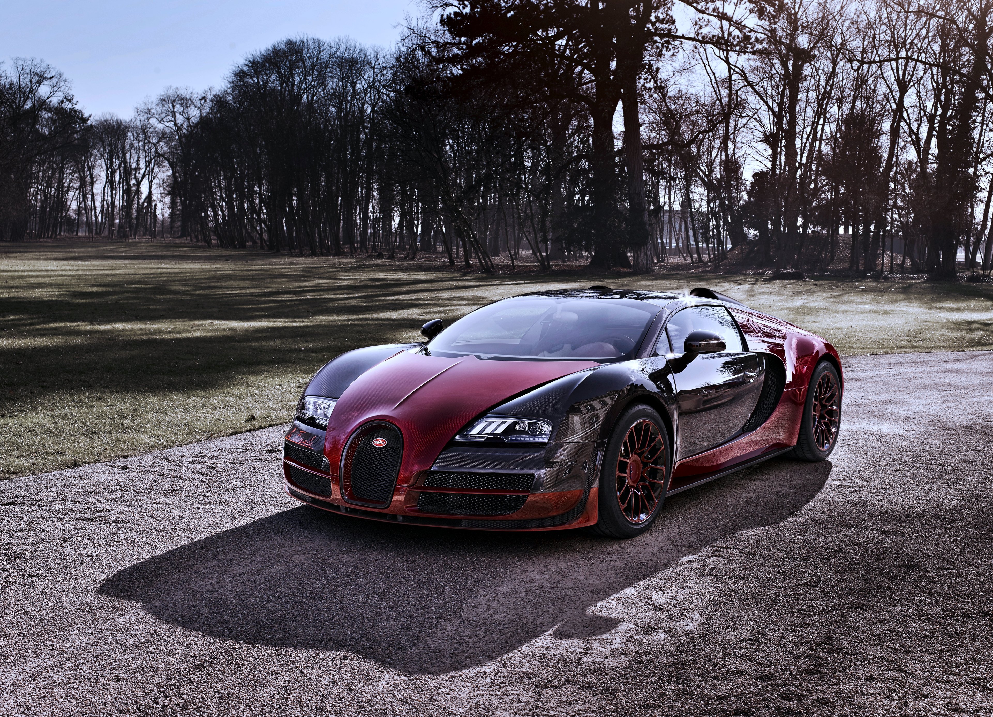 2015, Bugatti, Veyron, Forest, Trees, Gardens, Cars, Supercars, Motors, Turbo, Speed, Sunny Wallpaper
