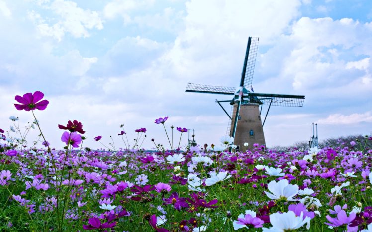 beauty, Clouds, Flowers, Landscaps, Nature, Red, Roses, Sky, Spring, Tulips, Windmill, Yellow HD Wallpaper Desktop Background