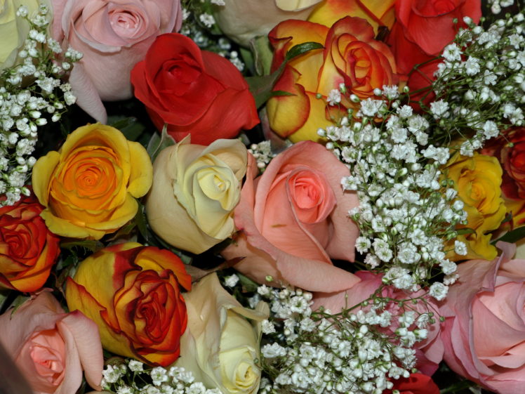 bouquets, Roses, Flowers HD Wallpaper Desktop Background