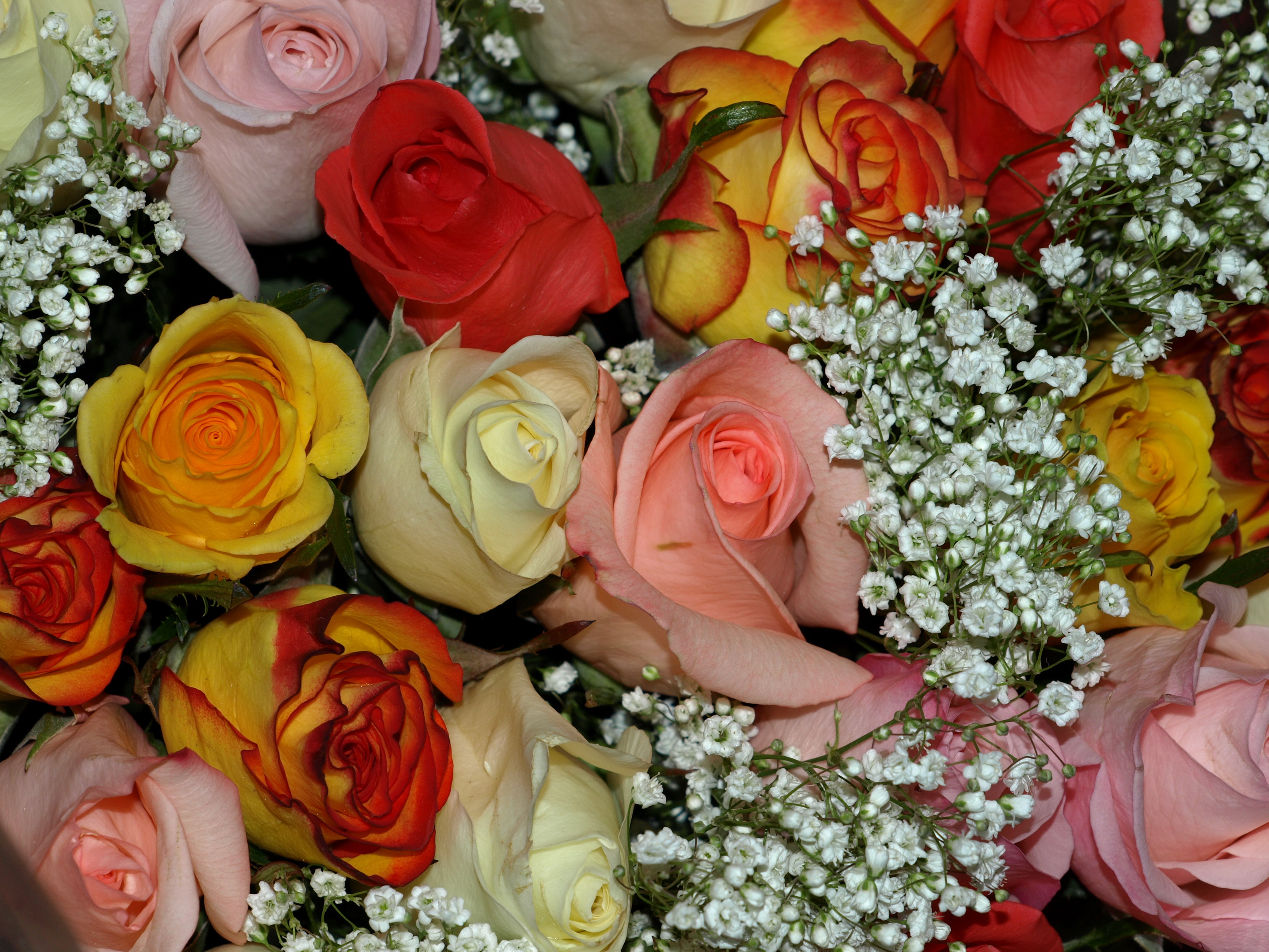 bouquets, Roses, Flowers Wallpaper