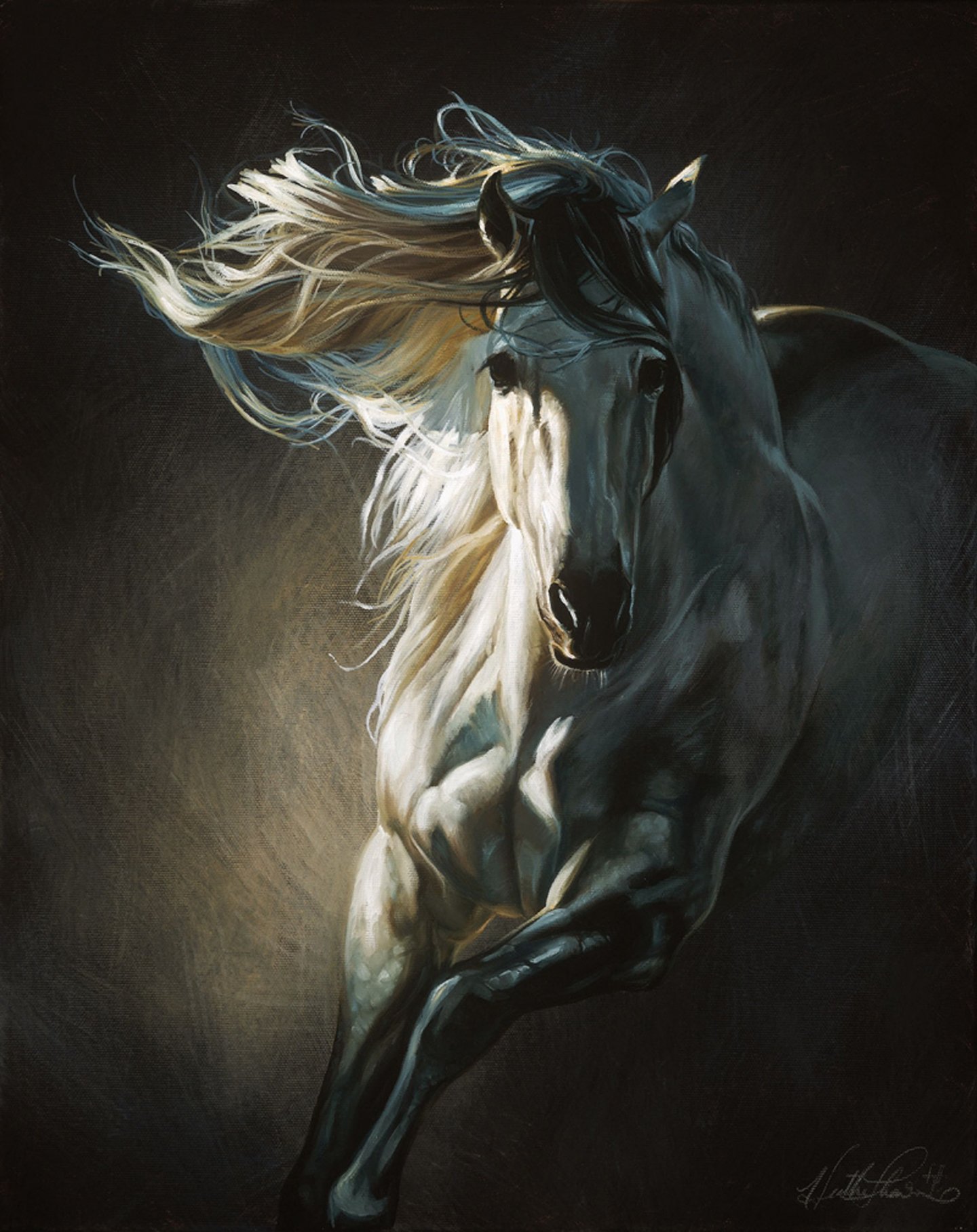 art, Horse, White, Beautiful, Animal Wallpaper