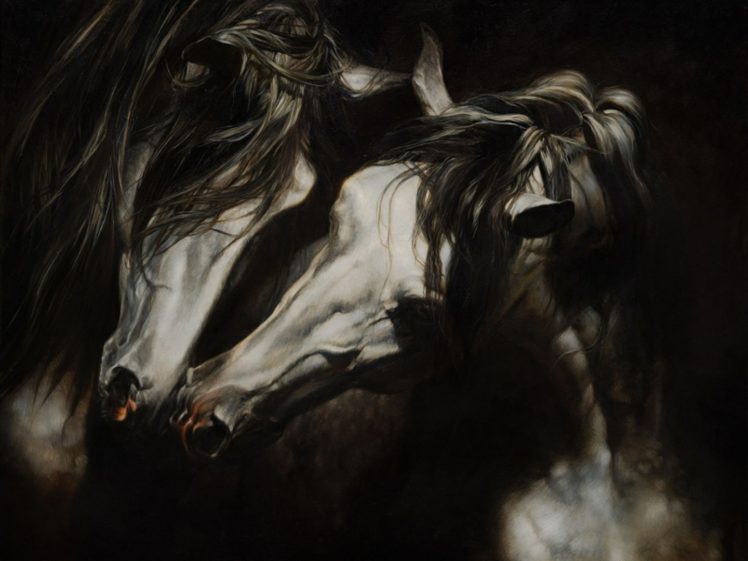 art, Horses, White, Beautiful, Animal, Cute HD Wallpaper Desktop Background