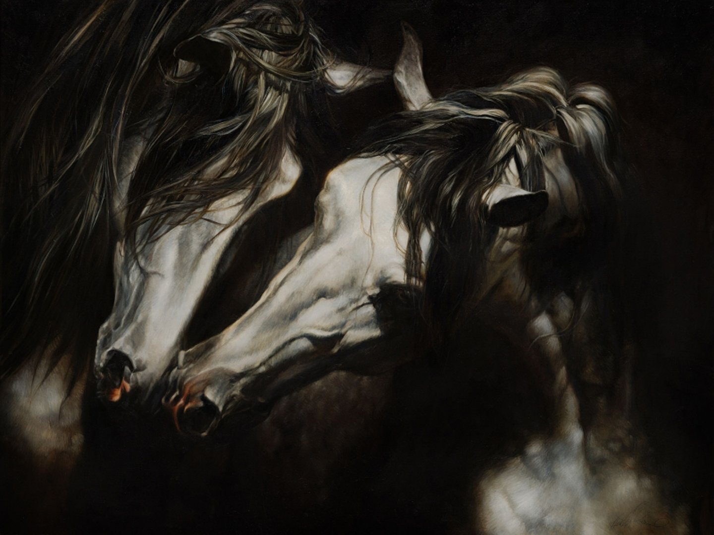 art, Horses, White, Beautiful, Animal, Cute Wallpaper