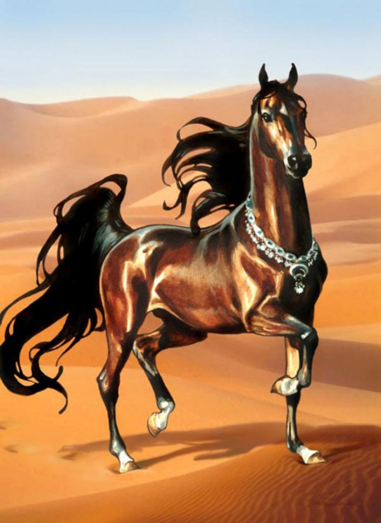 art, Horse, Brown, Beautiful, Animal HD Wallpaper Desktop Background