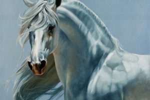 freedom, Art, Horse, White, Beautiful, Animal