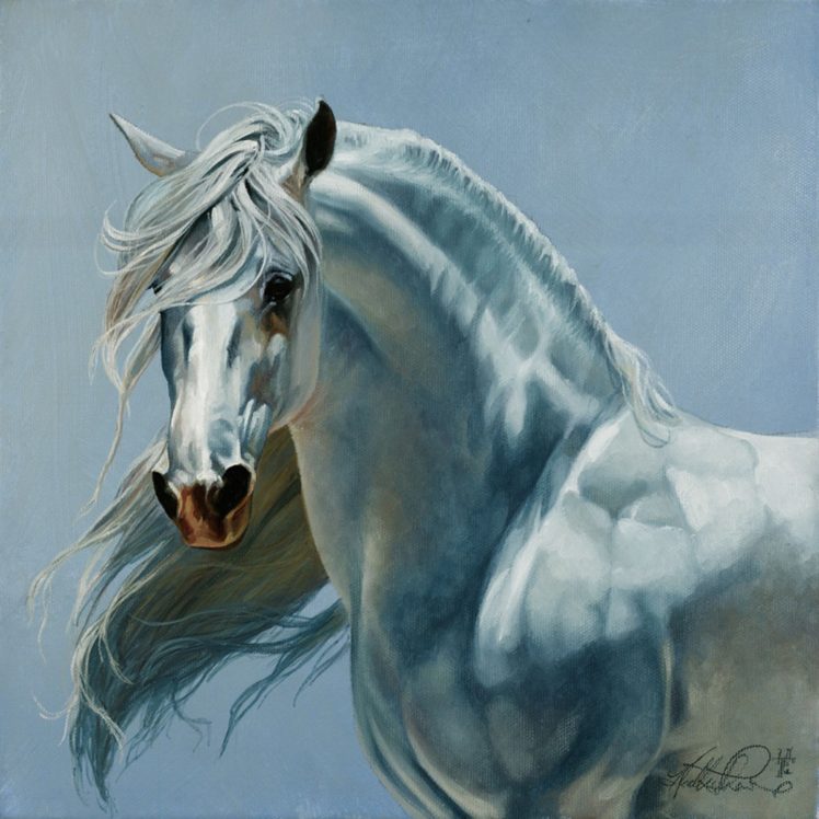 freedom, Art, Horse, White, Beautiful, Animal HD Wallpaper Desktop Background