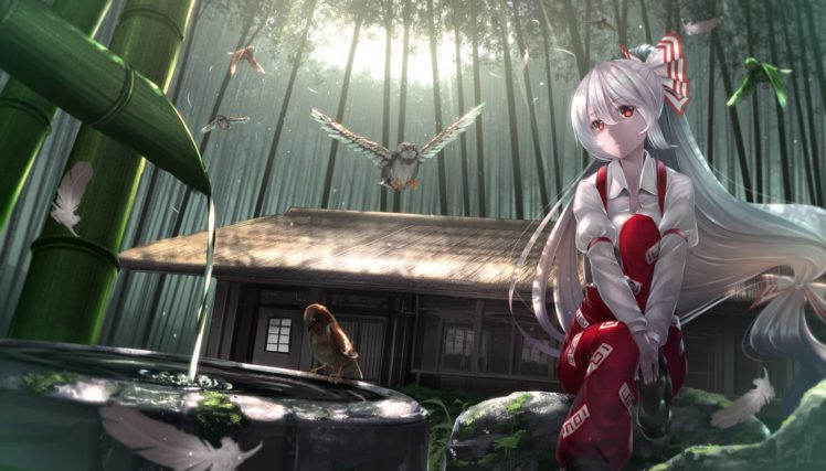 touhou, Anime, Series, Girl, Animal, Bird, House, Nature, Water, Forest, Sunlight, Feathers HD Wallpaper Desktop Background