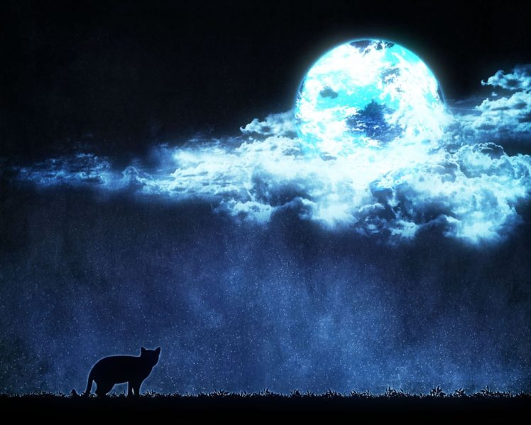 moon, Anime, Scan, Cat, Beautiful, Sky, Stars, Clouds HD Wallpaper Desktop Background