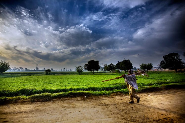pakistan, Landscapes, Man, Farmer, Agriculture, Clouds, Sky, Trees, Fog, Nature, Countryside, Grass HD Wallpaper Desktop Background