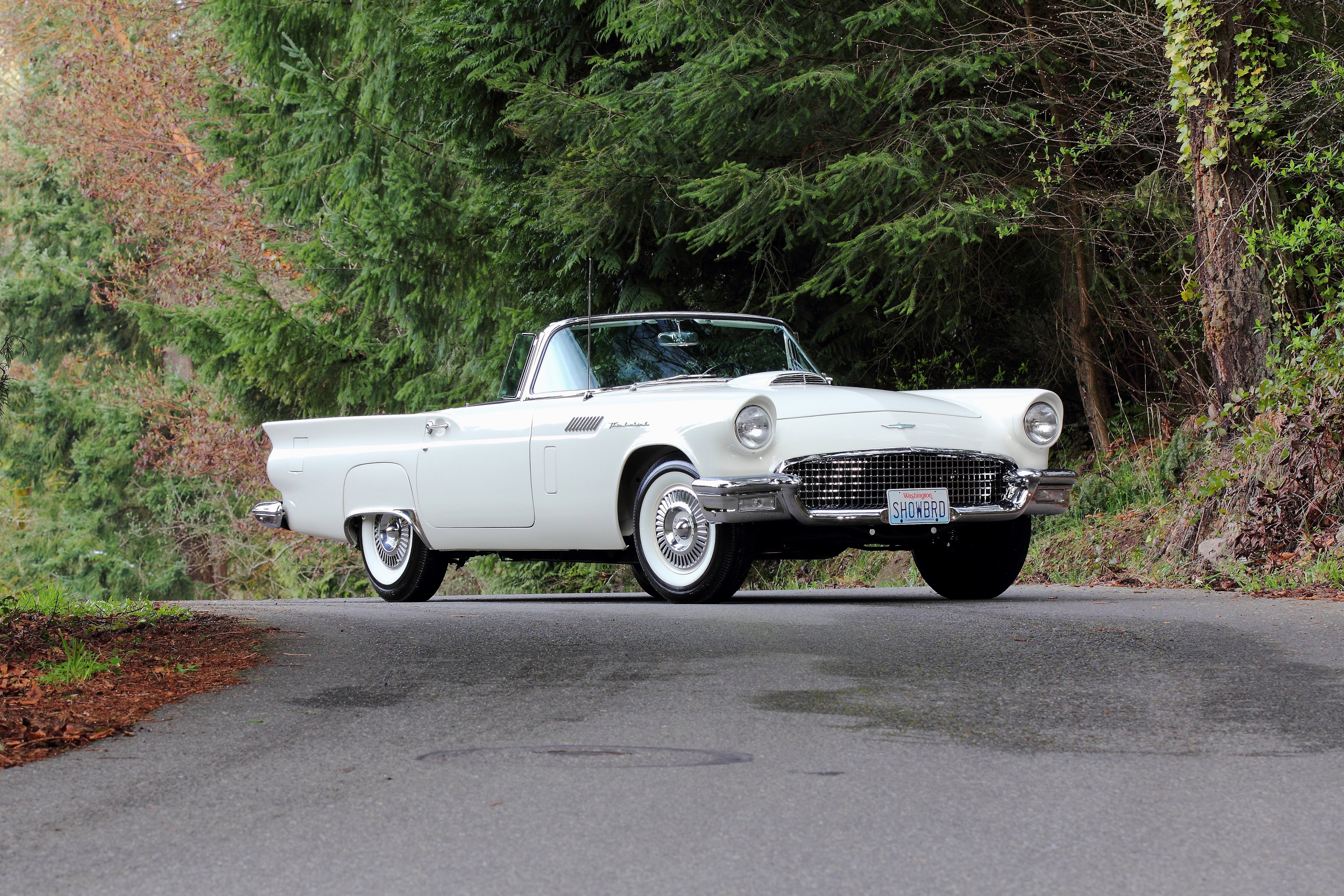 1957, Ford, Thunderbird, Vonvertible, Classic, Usa, 4200x2800 05 Wallpaper