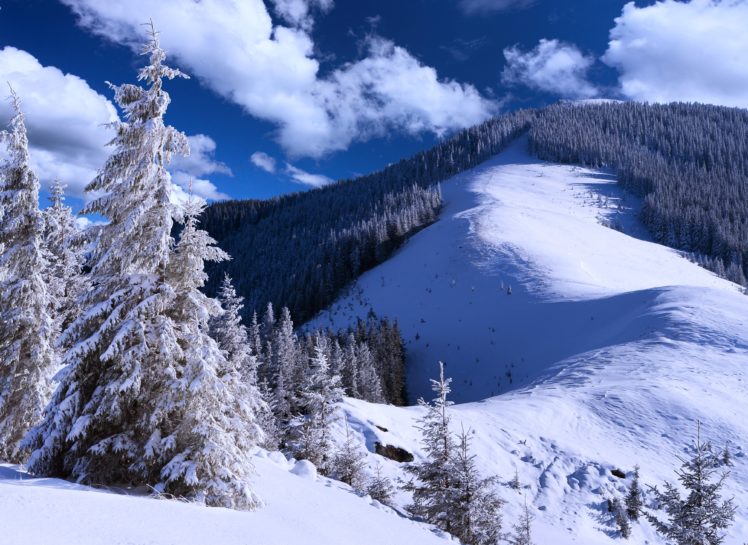 mountains, Snow, Landscapes, Nature, Trees, Jungle, Forest, Sky, Clouds, Blue HD Wallpaper Desktop Background