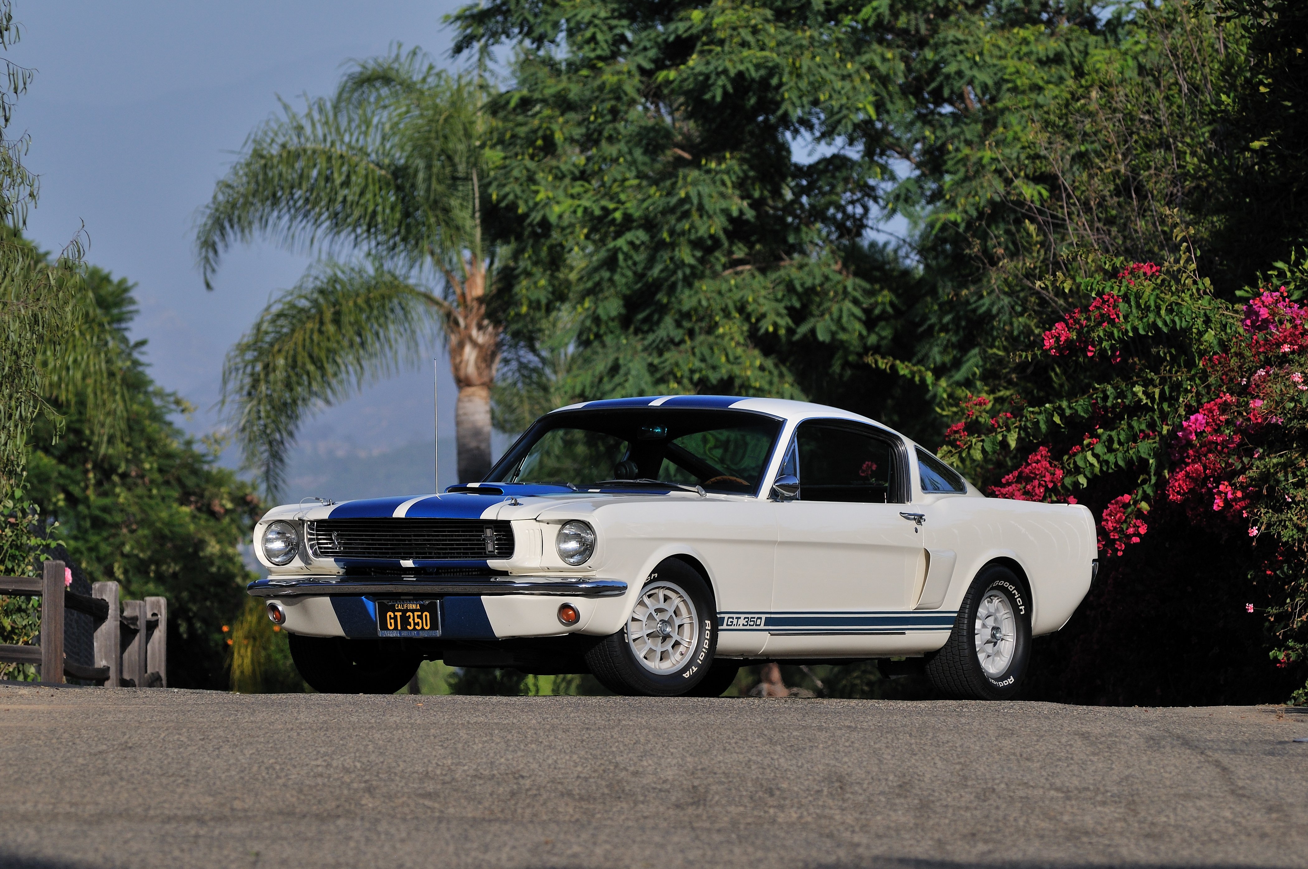 1966, Ford, Mustang, Shelby, Gt350, Fastback, Muscle, Classic, Usa, 4200x2790 01 Wallpaper