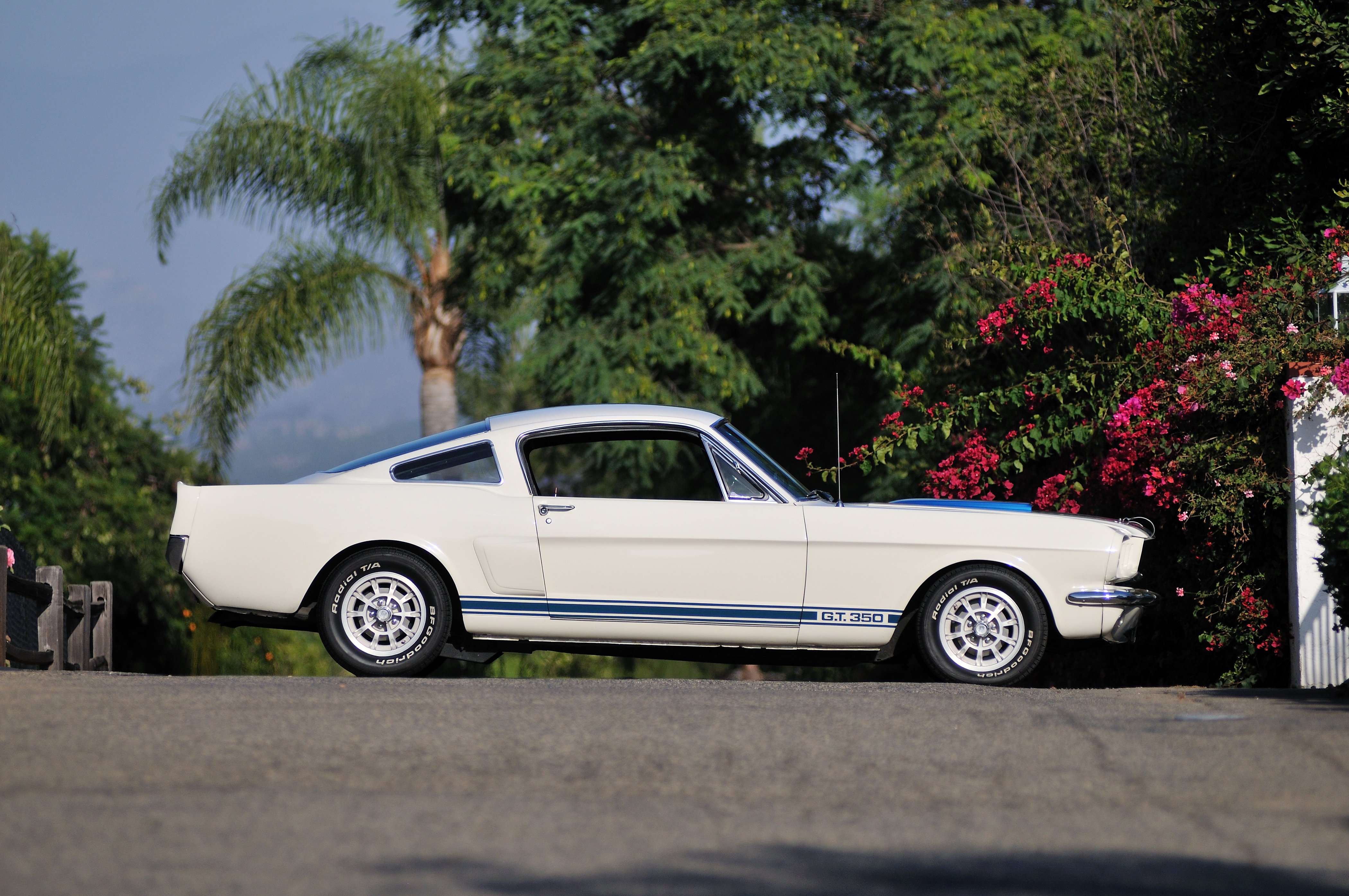 1966, Ford, Mustang, Shelby, Gt350, Fastback, Muscle, Classic, Usa, 4200x2790 02 Wallpaper