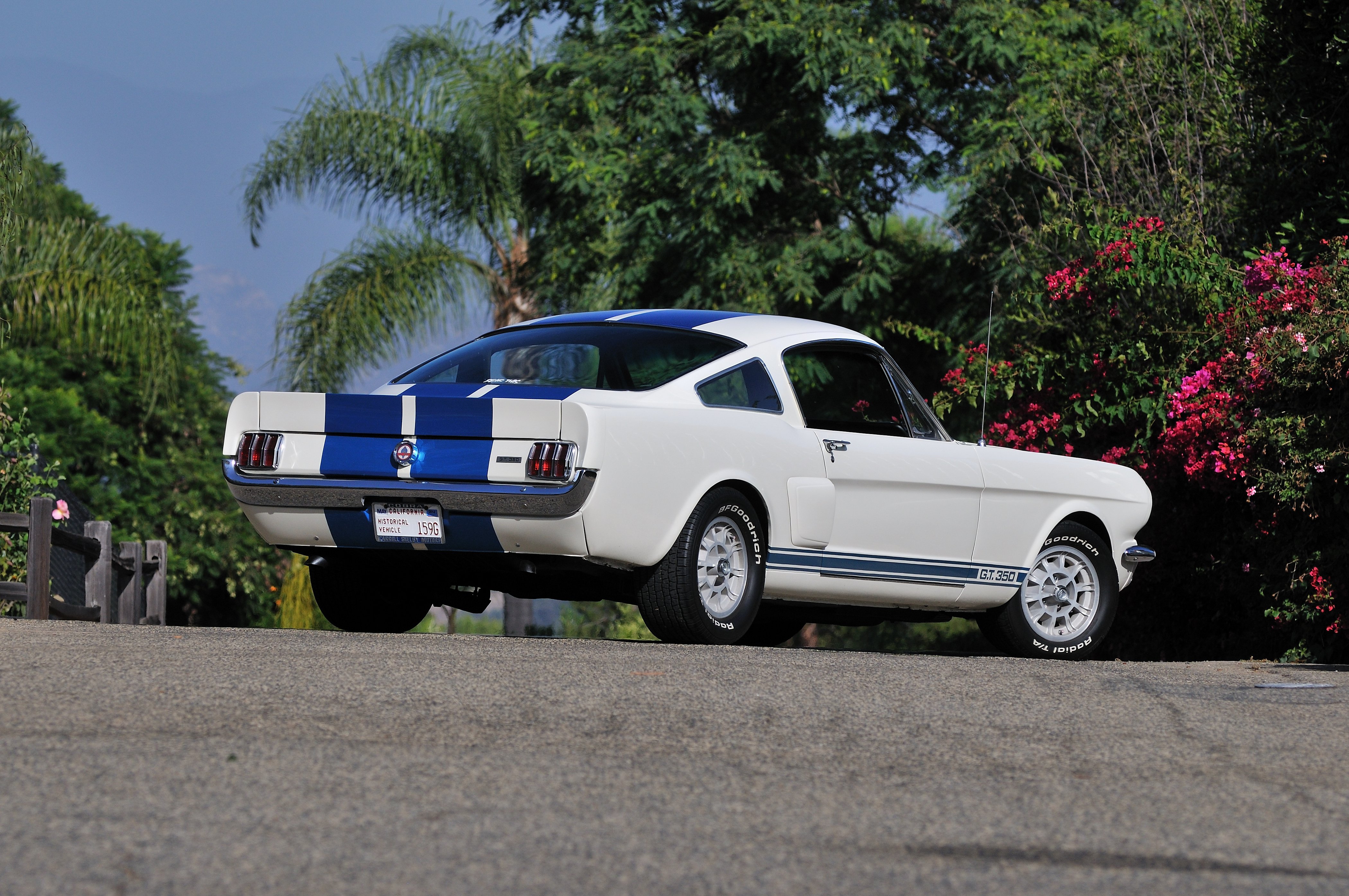 1966, Ford, Mustang, Shelby, Gt350, Fastback, Muscle, Classic, Usa, 4200x2790 03 Wallpaper