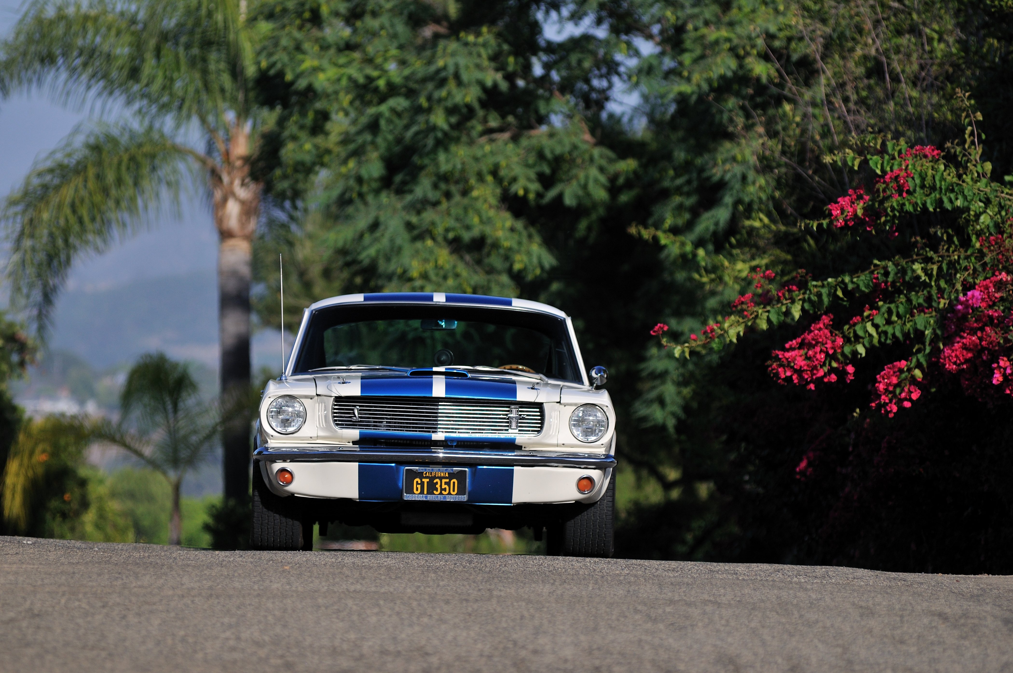 1966, Ford, Mustang, Shelby, Gt350, Fastback, Muscle, Classic, Usa, 4200x2790 04 Wallpaper