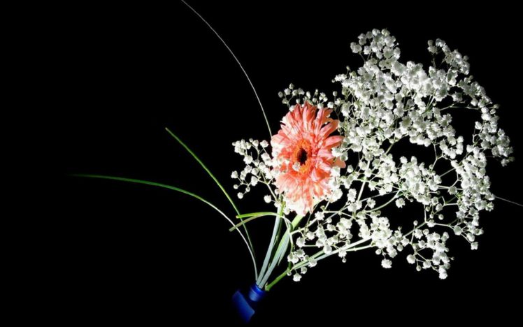 flower, Flowers, Petals, Garden, Nature, Plants, Beautiful, Delicate, Colorful, Soft, Spring, 1920×1200,  26 HD Wallpaper Desktop Background