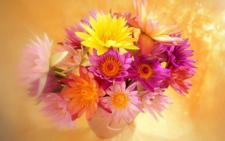 flower, Flowers, Petals, Garden, Nature, Plants, Beautiful, Delicate, Colorful, Soft, Spring, 1920×1200,  39 HD Wallpaper Desktop Background