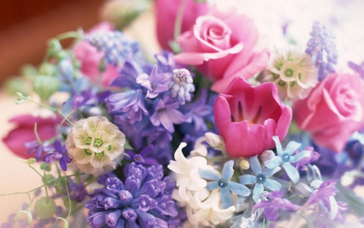 flower, Flowers, Petals, Garden, Nature, Plants, Beautiful, Delicate, Colorful, Soft, Spring, 1920×1200,  70 HD Wallpaper Desktop Background