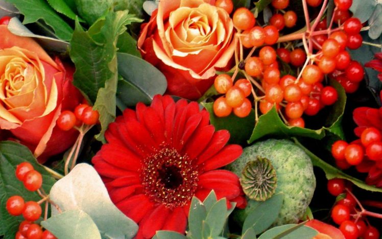 flower, Flowers, Petals, Garden, Nature, Plants, Beautiful, Delicate, Colorful, Soft, Spring, 1920×1200,  72 HD Wallpaper Desktop Background