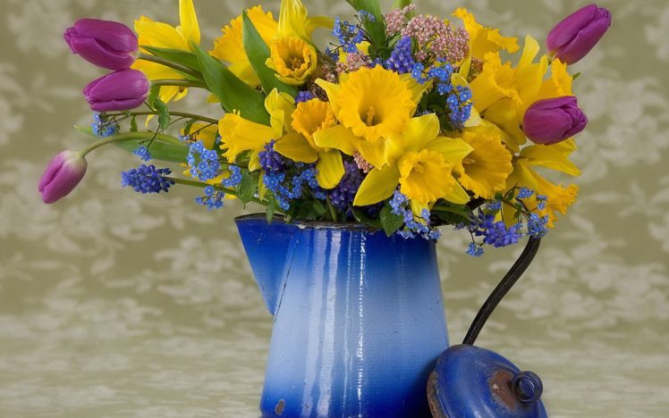 flower, Flowers, Petals, Garden, Nature, Plants, Beautiful, Delicate, Colorful, Soft, Spring, 1920×1200,  169 HD Wallpaper Desktop Background