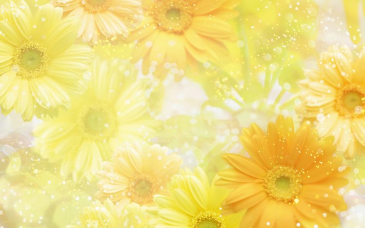 flower, Flowers, Petals, Garden, Nature, Plants, Beautiful, Delicate, Colorful, Soft, Spring, 1920×1200,  198 HD Wallpaper Desktop Background