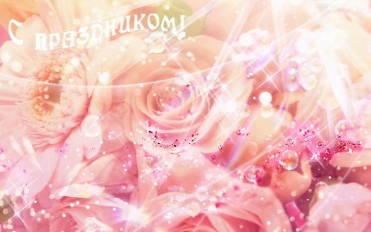flower, Flowers, Petals, Garden, Nature, Plants, Beautiful, Delicate, Colorful, Soft, Spring, 1920×1200,  222 HD Wallpaper Desktop Background