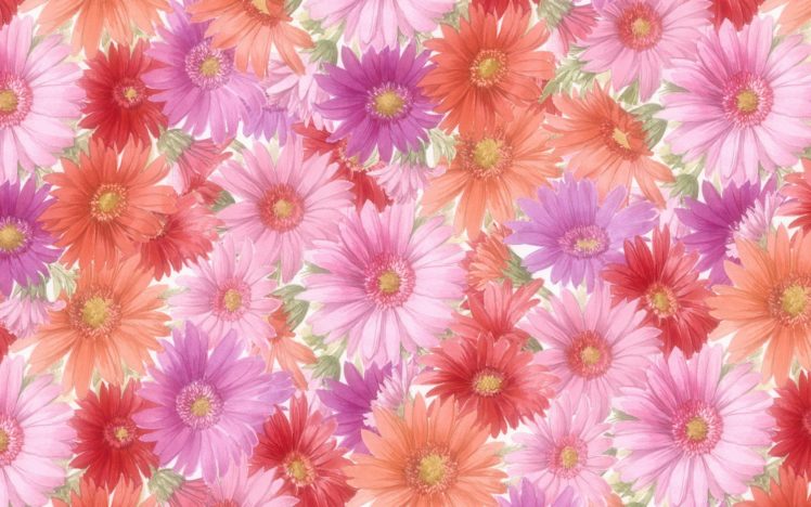 flower, Flowers, Petals, Garden, Nature, Plants, Beautiful, Delicate, Colorful, Soft, Spring, 1920×1200,  255 HD Wallpaper Desktop Background