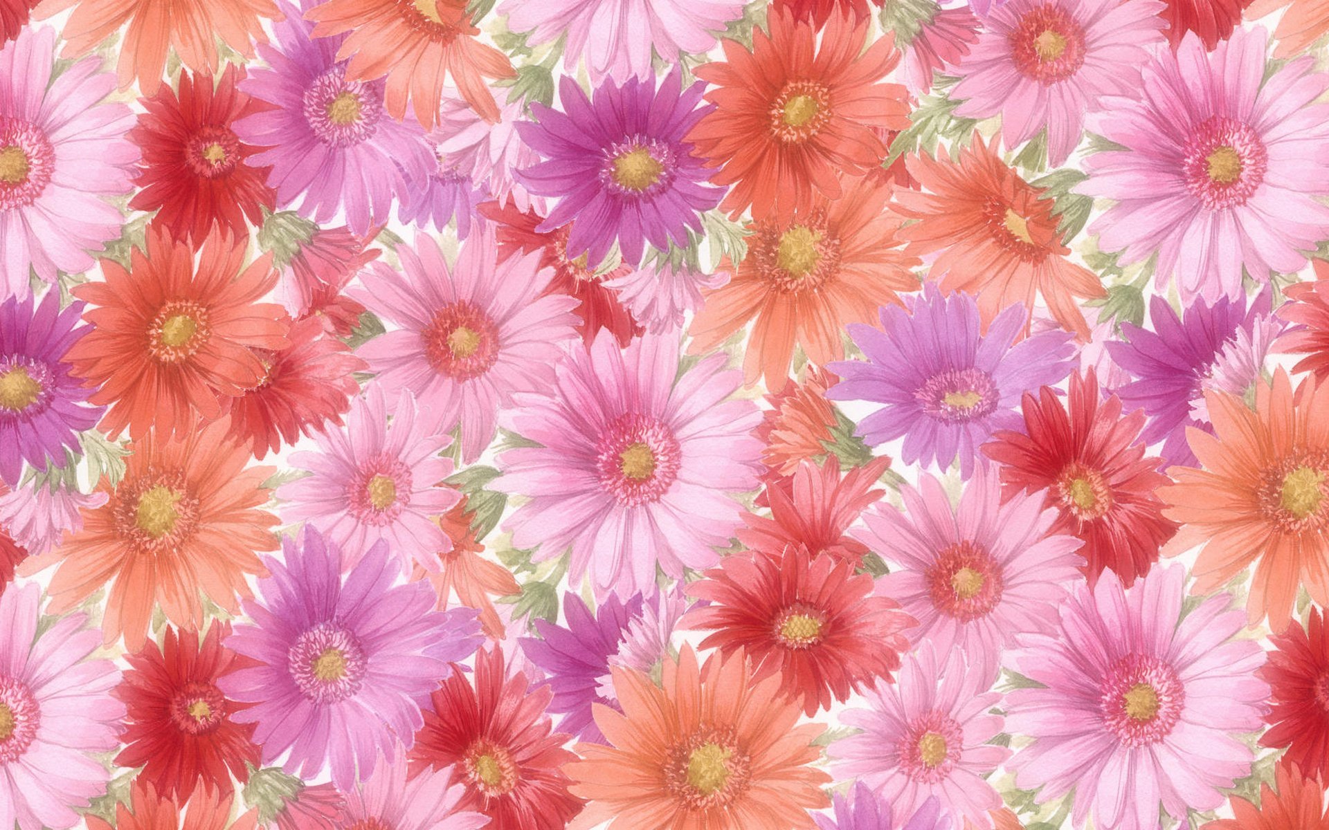 flower, Flowers, Petals, Garden, Nature, Plants, Beautiful, Delicate, Colorful, Soft, Spring, 1920x1200,  255 Wallpaper