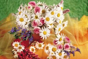 flower, Flowers, Petals, Garden, Nature, Plants, Beautiful, Delicate, Colorful, Soft, Spring, 1920x1200,  259