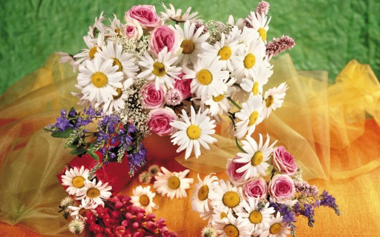 flower, Flowers, Petals, Garden, Nature, Plants, Beautiful, Delicate, Colorful, Soft, Spring, 1920×1200,  259 HD Wallpaper Desktop Background