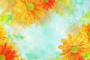 flower, Flowers, Petals, Garden, Nature, Plants, Beautiful, Delicate, Colorful, Soft, Spring, 1920×1200,  263