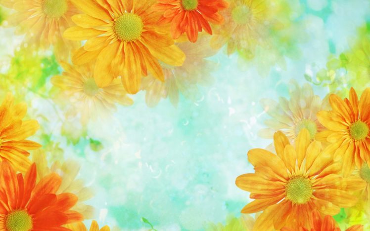 flower, Flowers, Petals, Garden, Nature, Plants, Beautiful, Delicate, Colorful, Soft, Spring, 1920×1200,  263 HD Wallpaper Desktop Background