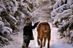 snow, Winter, Boy, Children, Cold, Kids, Dog, Animals, Friendship, Walk, Trees, White, Landscapes, Nature, Forest, Jungle, Way, Path