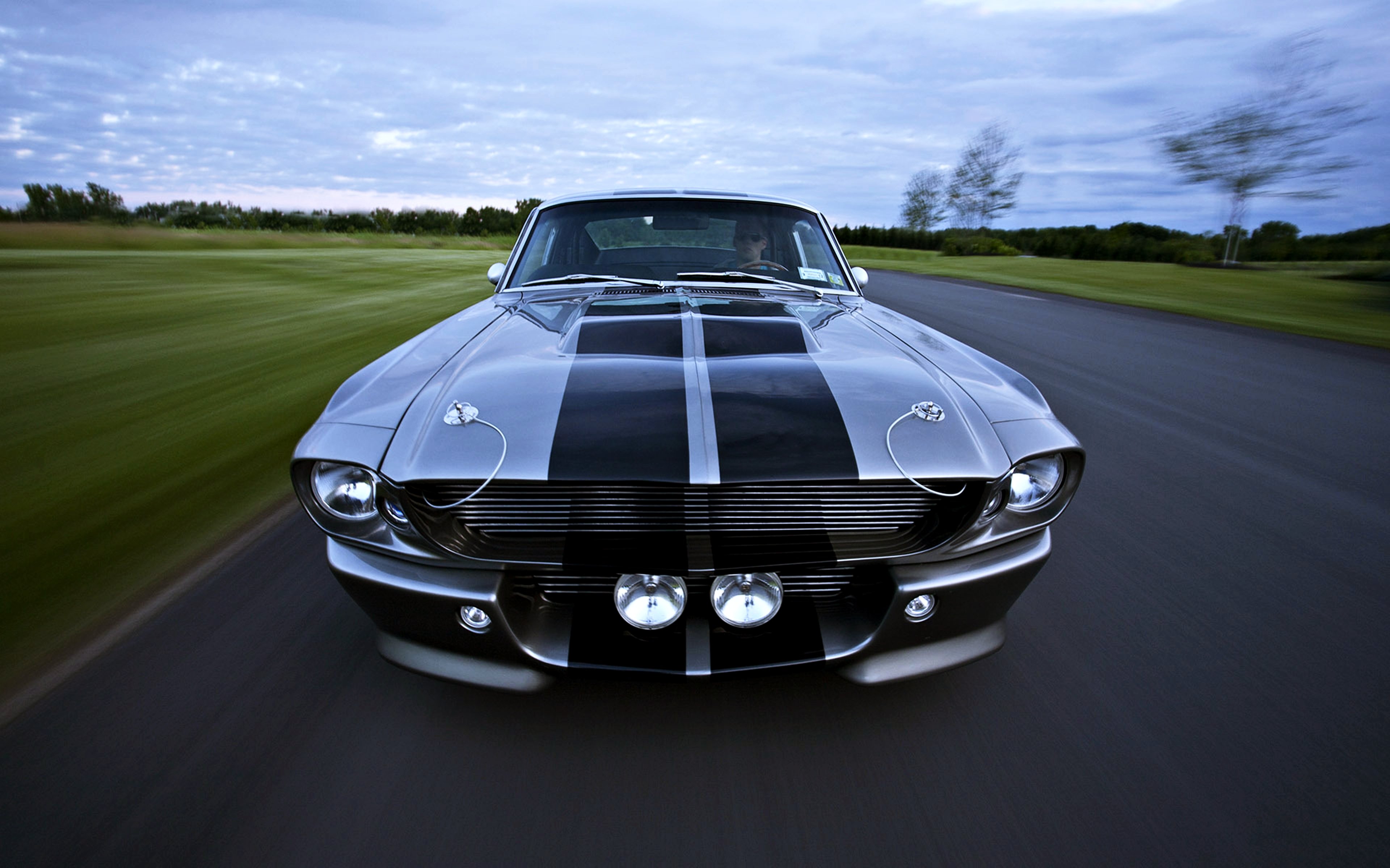 ford, Mustang, Shelby, Gt500, Eleanor, Gray, Road, Speed, Motors, Landscape, Cars Wallpaper