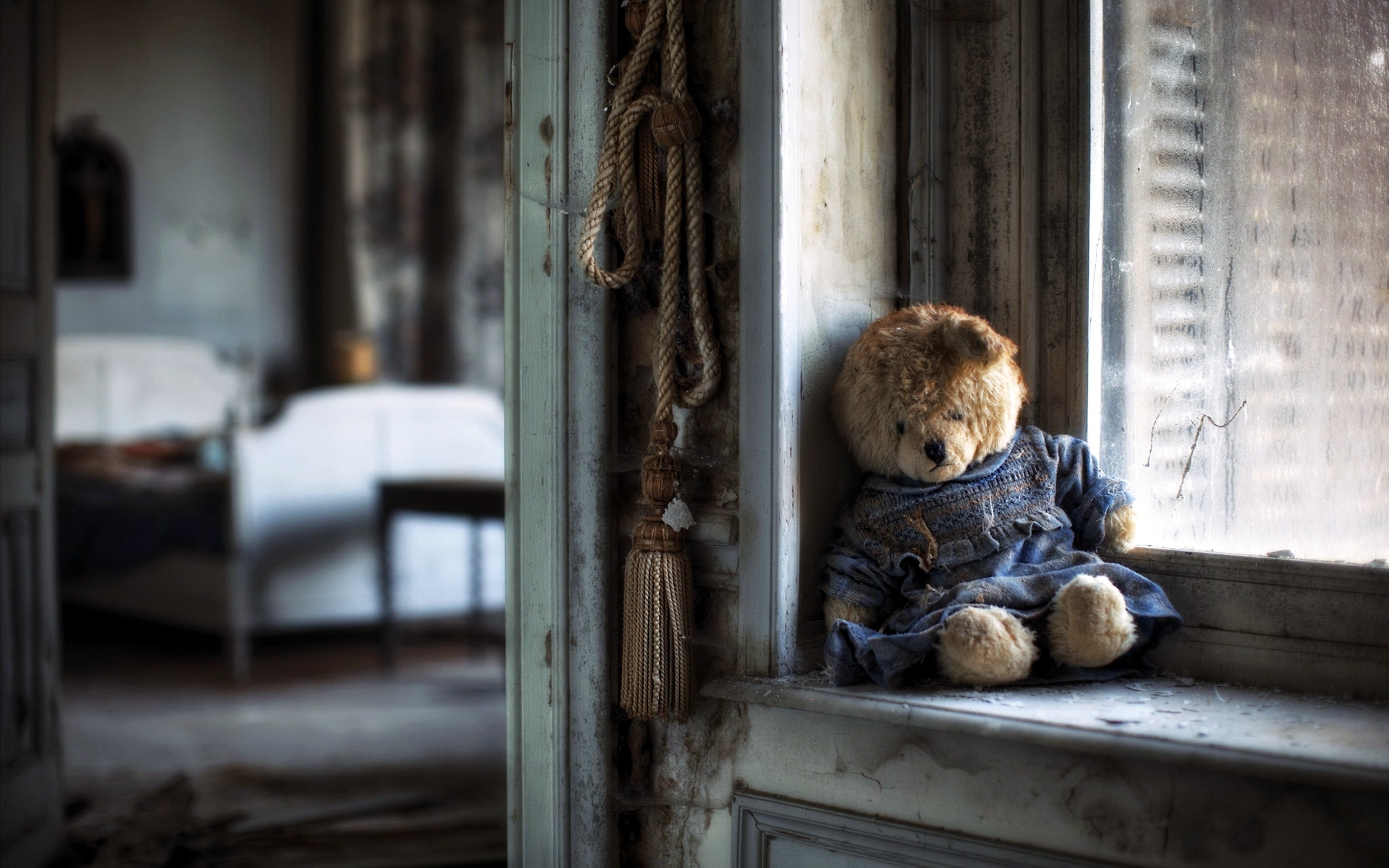 sad teddy bear hd wallpaper