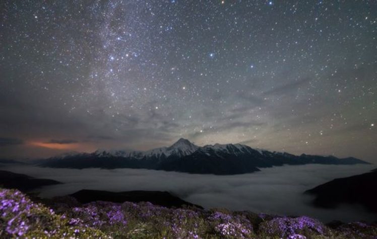 stars, Sky, Amazing, Mountain, Landscape, Flower, Snow HD Wallpaper Desktop Background