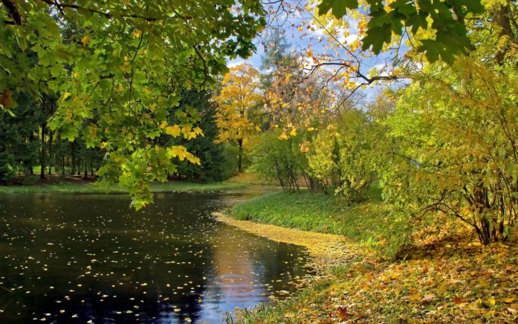 lake, Autumn, Leaves HD Wallpaper Desktop Background