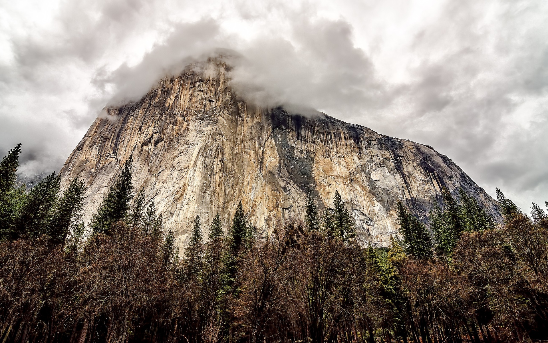 mountains, El, Capitan, Yosemite, National, Park, Sky, Trees Wallpaper