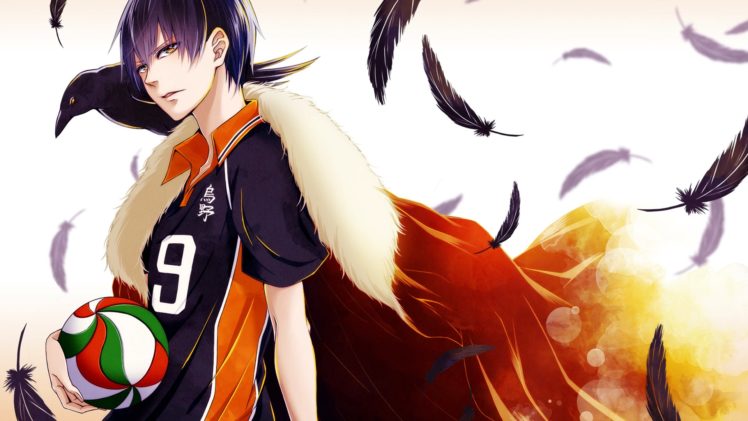 haikyuu, Anime, Series, Basketball, Feather, Guy, Crow HD Wallpaper Desktop Background