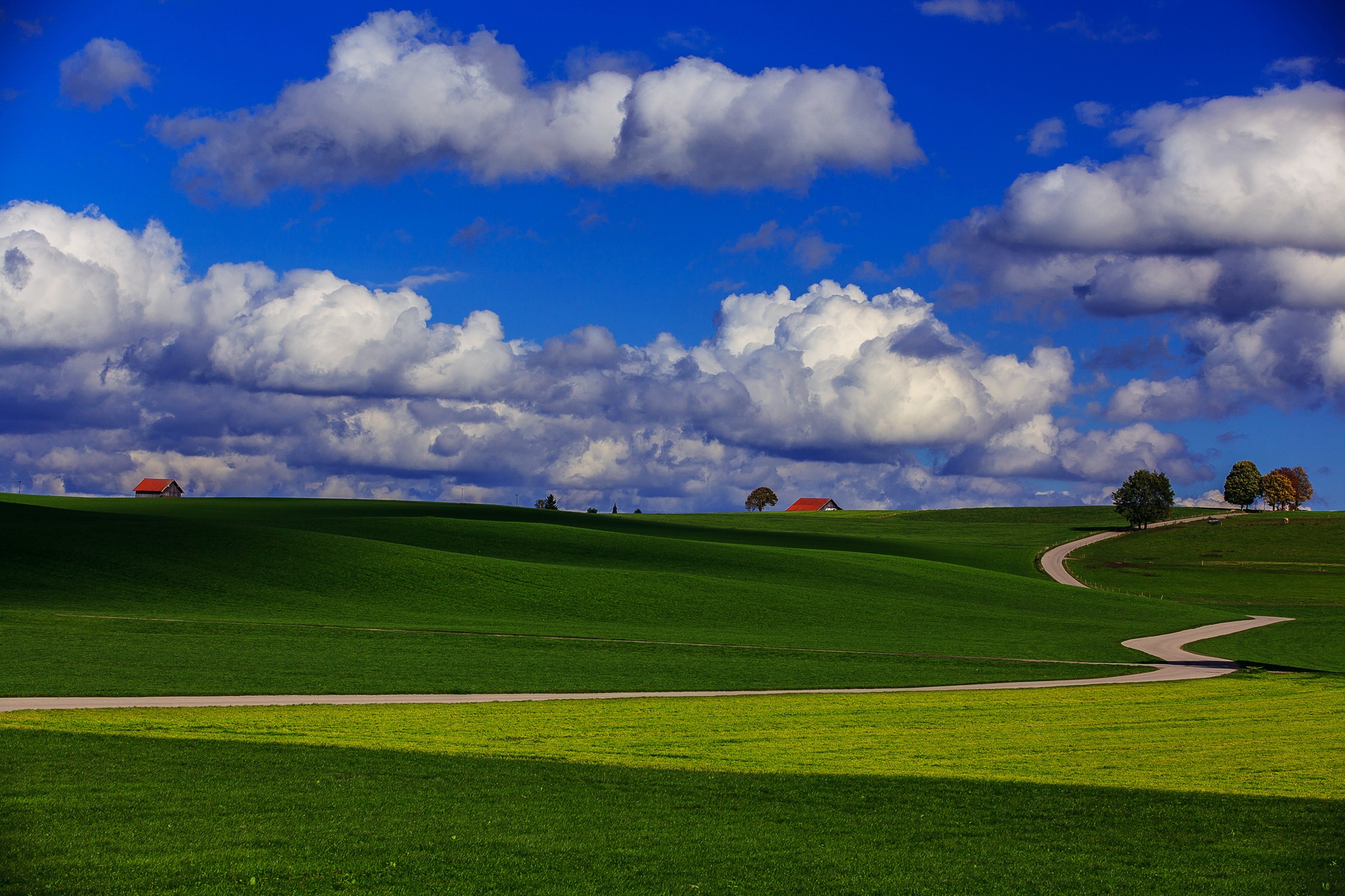 landscapes, Nature, Countryside, Fields, Houses, Trees, Road, Sky, Clouds, Blue, Grass Wallpaper