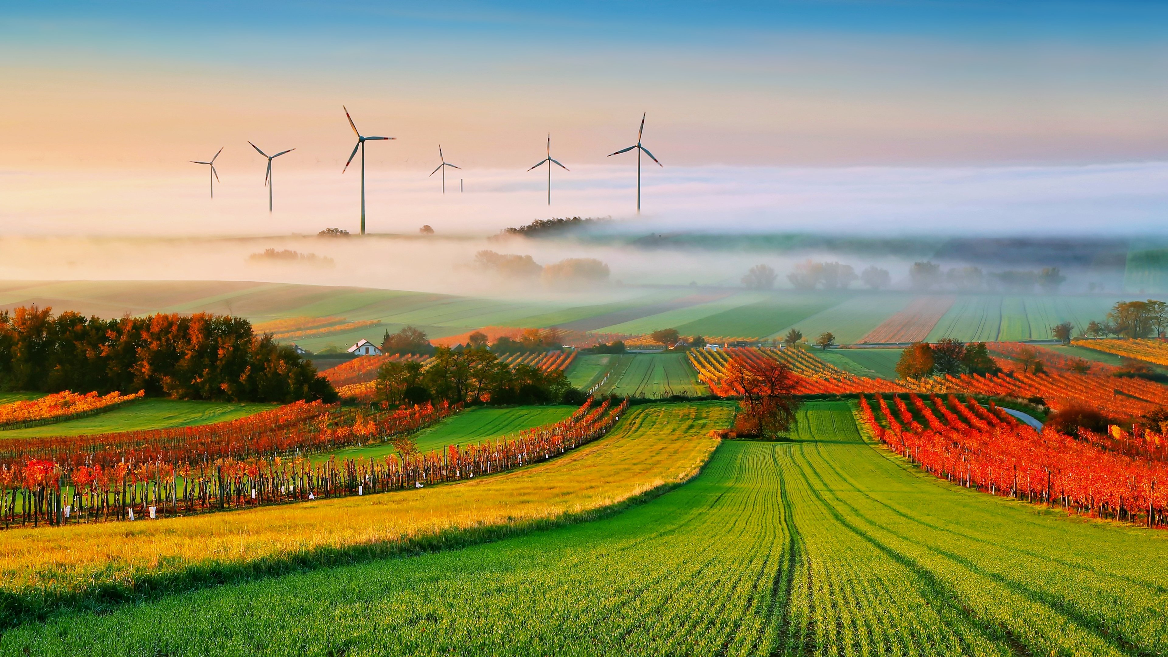 fog, Landscapes, Nature, Fields, Trees, Countryside, Fans, Electric, Power, Generation, Autumn, Clouds Wallpaper