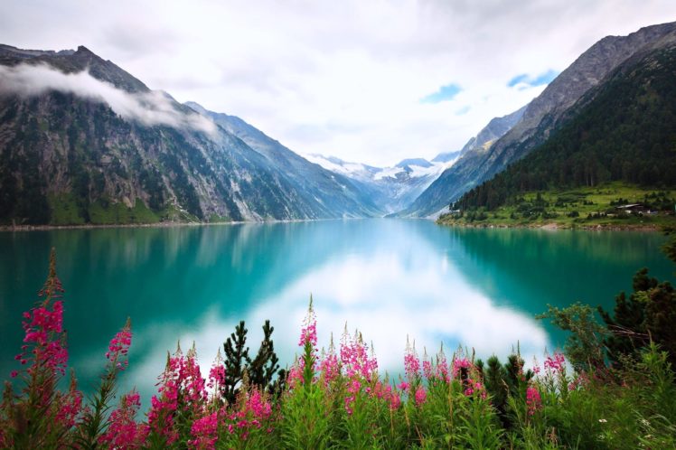 lakes, Mountains, Plans, Flowers, Forest, Jungle, Trees, Water, Clouds, Nature, Landscapes HD Wallpaper Desktop Background