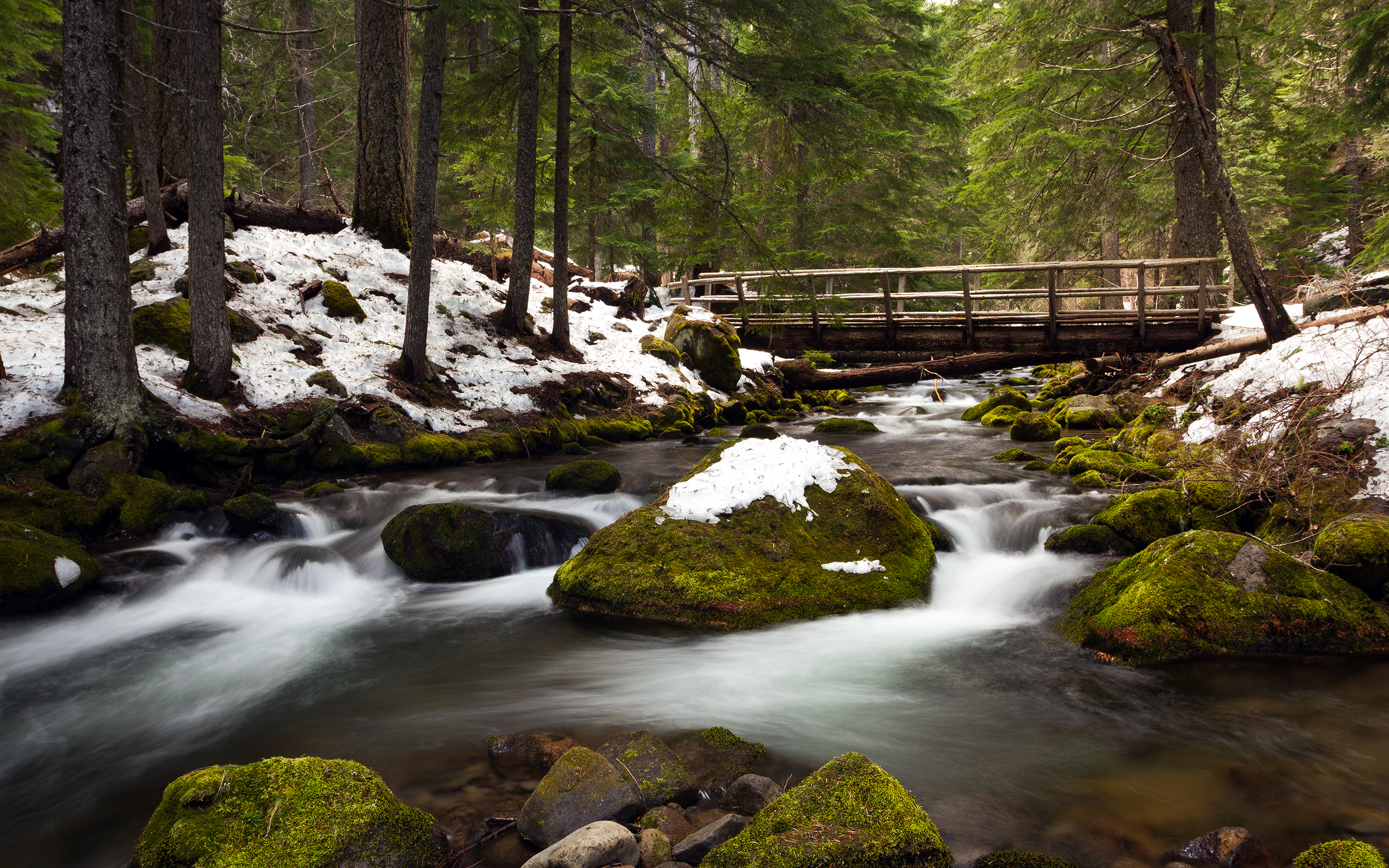 winter, Snow, Stream, River, Trees, Forest, Moss, Rocks, Stones, Bridge Wallpaper