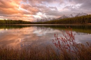forest, Canada, Tarn, Mountain, Lake, Reflection, Sunset, Sunrise