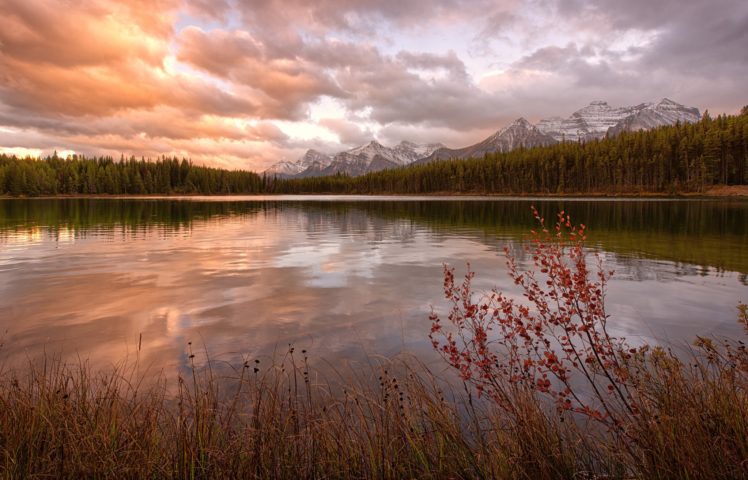 forest, Canada, Tarn, Mountain, Lake, Reflection, Sunset, Sunrise HD Wallpaper Desktop Background
