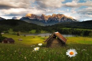 mountains, Flowers, Forest, Nature, Hut, Lake